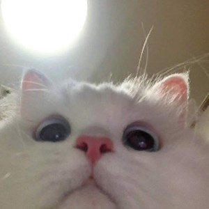 Siroxas_ - Twitch
