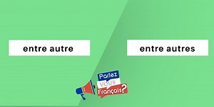 « Entre autre » ou « Entre autres »
