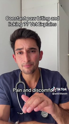 Dog Paw Care: Understanding and Treating Paw Biting and Licking