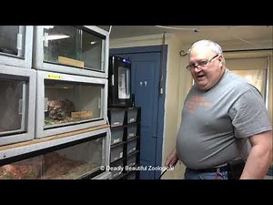 Venomous Housekeeping