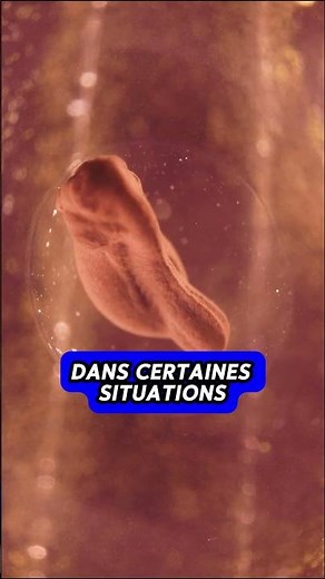 La Division Cellulaire #science #sciencefacts #biology #cellule