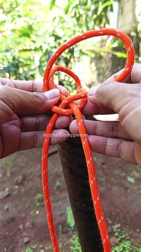 simple constrictor hitch trick👍 #knot #tricks #climbing #bowline #fyp