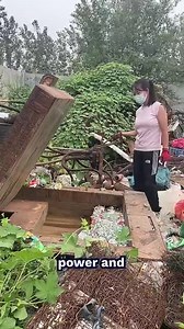 Cans Crushed Into A Cube | Cute Emergency