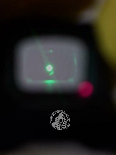 HOLOSUN SCS How to