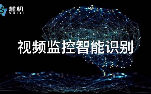 视频监控智能识别