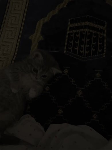 Celebrating Ramadan: A Time for Reflection and Joy