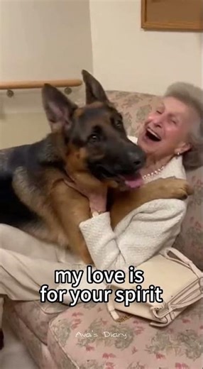 Heartwarming: Shelter Dogs Pick Their New Best Friends! 🐾✨ #dogs #wholesome