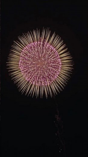 Japanese 24 inch big shell firework | Shinmei Fireworks Festival 2023 | BMPCC6K #shorts