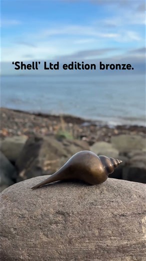 Shell, limited edition bronze sculpture - James Parker Sculpture