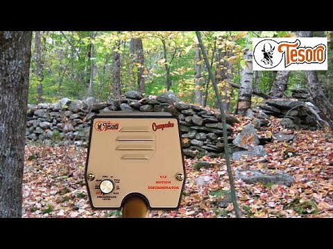 Tesoro Compadre Metal detector finds old coins and