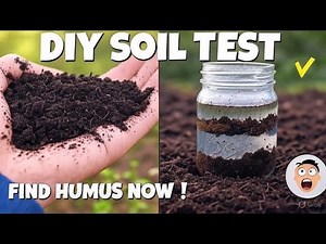 How to Test for Humus in Your Garden Soil Using DIY Methods