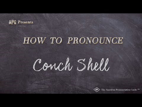 How to Pronounce Conch Shell (Real Life Examples!)