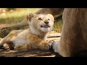 The Lion King 2019 - Bath Scene I 4K Ultra HD