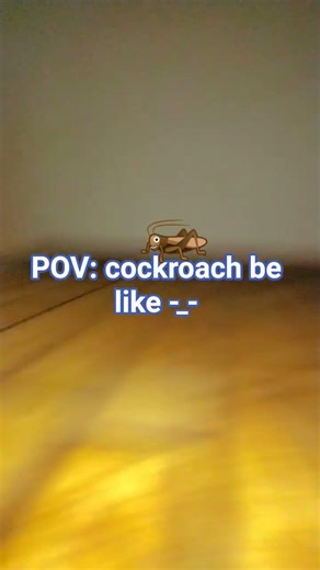 POV: cockroach be like 🦗👍🏻