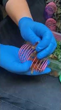 Day in the Life of a Zoo Academy Student - Cincinnati Zoo