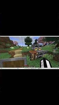 they hired a real person to scam people in a mincraft server?!