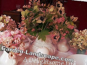 Plants: Bushes determine - recognize the leaves | 2025