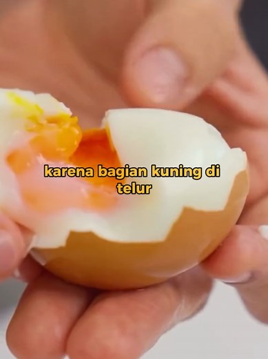 Egg Timer: Cara Memasak Telur Sempurna