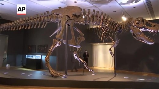 Fossilized dinosaur feces and vomit help scientists reconstruct the creatures’ rise