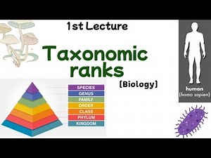 Taxonomic Ranks | Class 9th | Biology | ‪@sciencewitharooj‬ #biology #learnscience