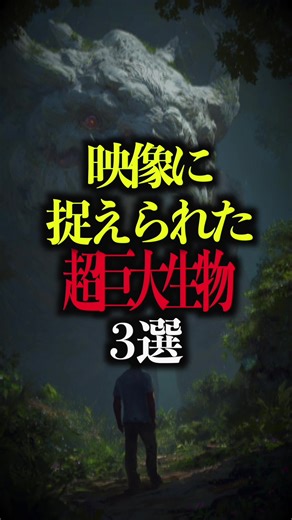 超巨大生物の都市伝説と未確認映像