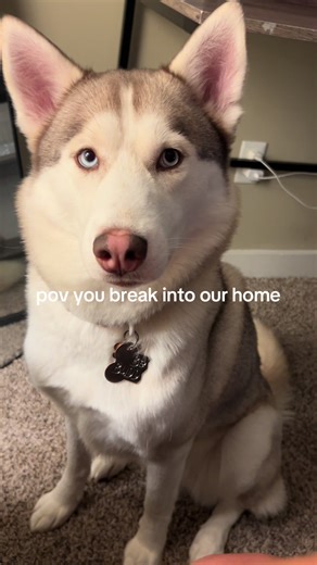 big ol teddy bear🧸