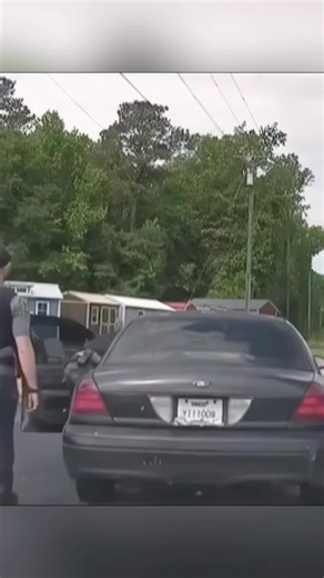 amagansettpress7 (@amagansettpress7)’s videos with original sound - amagansettpress7