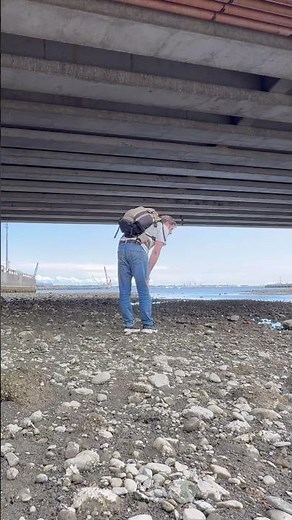 🌸 Exploring the Tomoe Riverbed at Low Tide 🌊🇯🇵