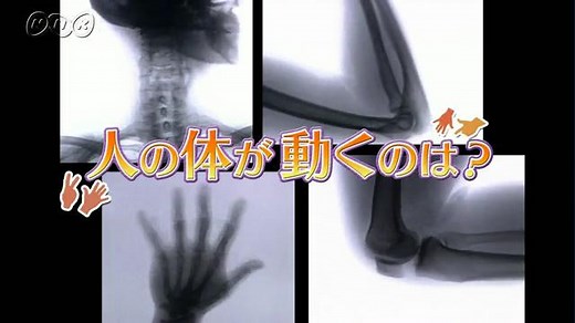 人の体が動くのは？ | ふしぎがいっぱい （4年） | NHK for School