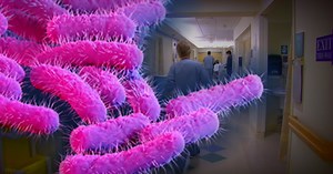 CDC warns about infections caused by drug-resistant Shigella