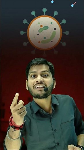 Soap vs Germs – How Does It Work?