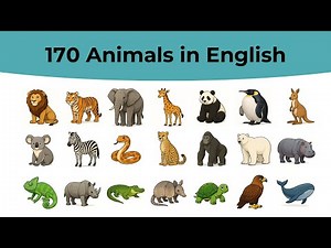 170 Animals in English – Learning with Pictures!