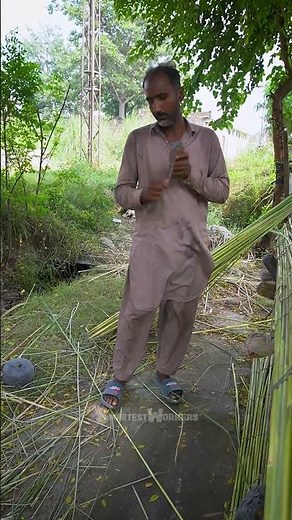 Manually Making Bamboo Blind