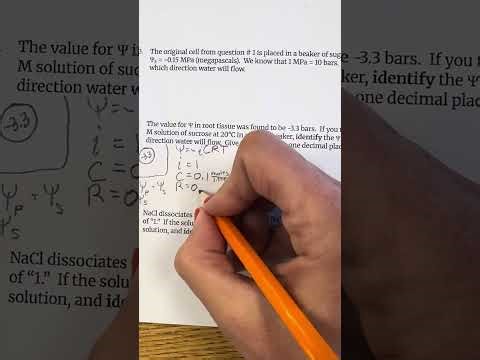 Water Potential Practice Problems: Number 4