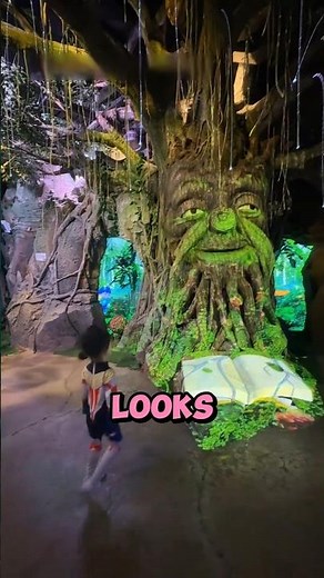 Exploring a Forest Museum! 😁🌳