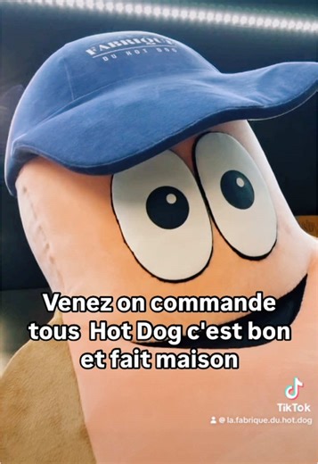 Venez, on commande tous un hot dog, c’est bon et fait maison ! 🔥🌭🔥 #viral_video #hotdog #trendingvideo #foodlover