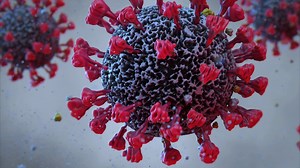 Taking a look at some recent research that made the headlines, it's clear that animal research consistently delivers breakthroughs in medical research. | Understanding Animal Research