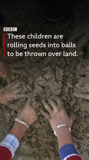40K views · 1.1K reactions | Rakesh Sohal, a banker from the Indian state of Punjab, began making balls of tree seeds and lobbing them off hillsides and into remote areas. Over the past year, he's thrown 50,000 seedballs that he hopes will grow and help reforestation.  Now school children are picking up the idea. We're reposting this video as it's one of your favourites from the year so far.  Tree planting and climate change: https://bbc.in/4gL0ANa | BBC World Service | Facebook