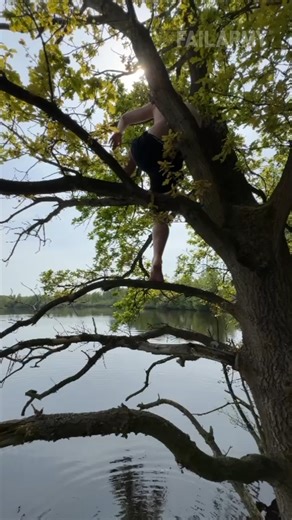 50K views · 183 reactions | when branching out backfires  #treeclimbing #climbing #fail #shorts | FailArmy | Facebook