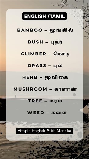 Daily English Words In Tamil #englishlanguage #vocabulary #english #spokenenglish #englishlearning