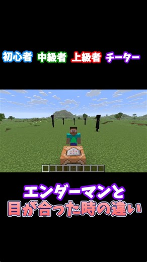 【マイクラ】エンダーマンと目が合った瞬間の違い #shorts #マインクラフト #初心者