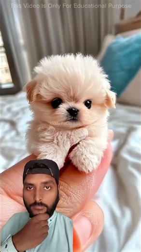 Doctor's prank inside the hospital USA 😂🤣