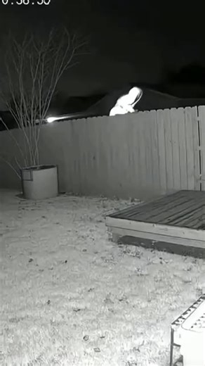 Witch panic from dog When The Guard Dog Gets Spooky.| Fictional Horror Short | (AI Generated) ⚠️ This video is fictional and AI generated. This is a short cinematic horror scene created for entertainment purposes only. All characters, creatures, and events shown in this video are NOT real. No animals or people were harmed. This content is purely fictional storytelling. #creepy #horror #creepy #ai #horror