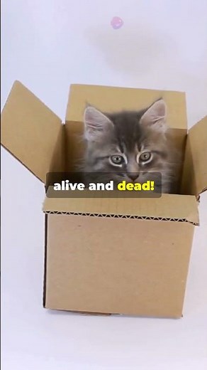 Schrödinger's Cat Explained in 60 Second #physicsfacts #sciencefacts #educationalvideo #physics