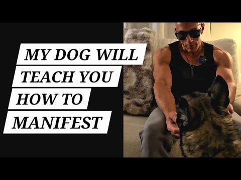 TRAIN REALITY TO OBEY YOU. (IT ALREADY DOES)