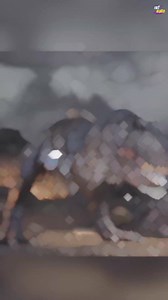 1.6M views · 10K reactions | T-rex real sound... #shorts #viral...