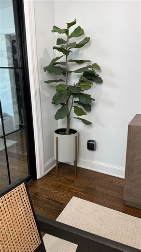 30 reactions · 54 comments | A mini plug in compact heater that will warm an entire room in minutes  the best swap for a bulky space heater. Comment “SHOP” and I’ll send it to ya! I initially got this for our basement since it’s always so cold but I’ve been moving it from room to room and it works so well. Small but mighty! @amazoninfluencerprogram | Tnstyled | Facebook