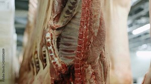 close-up view of raw pork meat hanging on hooks in a meat factory food concept nutrition protein ribs skin blood slaughterhouse nobody butcher workplace stored cold beef steak butchery product
