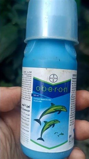 Bayer Oberon miticide #gardening #oberon