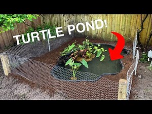 INSANE NEW TURTLE POND/ENCLOSURE